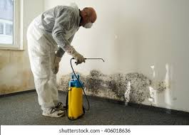 Best Mold Remediation for Healthcare Facilities in Nice, CA